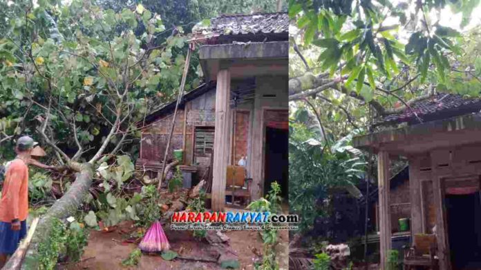 Hujan Angin di Pamarican