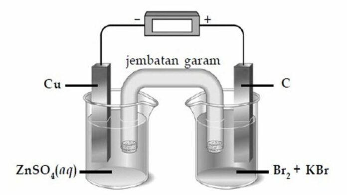 Jenis Sel Volta