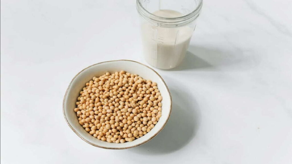 Makanan dari Kedelai