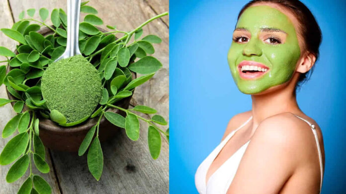 Manfaat Masker Daun Kelor untuk Kecantikan Kulit Wajah