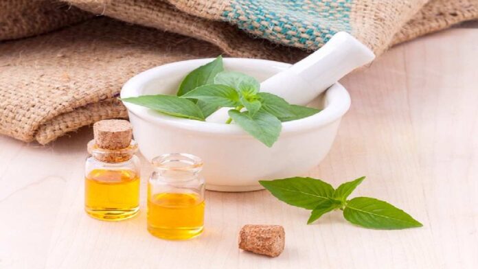 Obat Herbal Asam Lambung