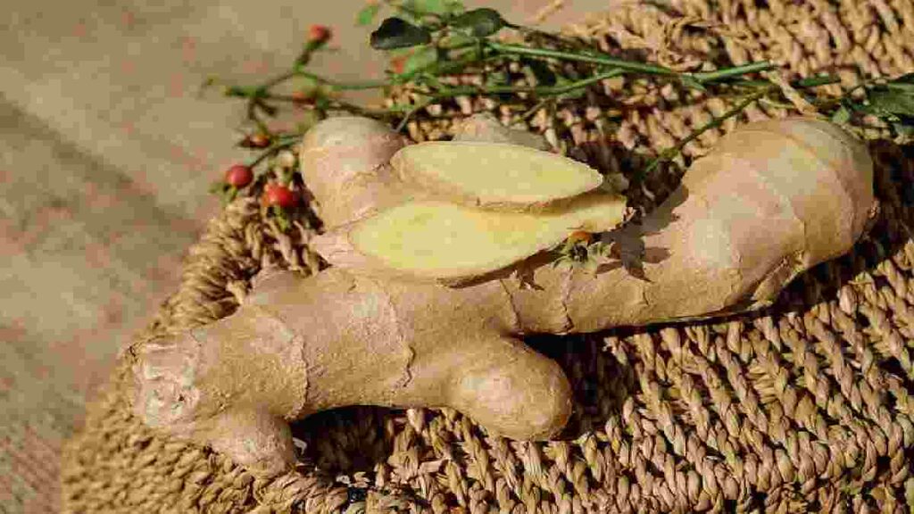 Obat Herbal Asam Lambung