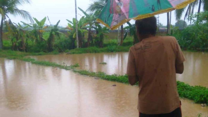 Saluran Leuwi Biuk Meluap, Kolam Ikan Milik Warga Dewasari Ciamis Kebanjiran