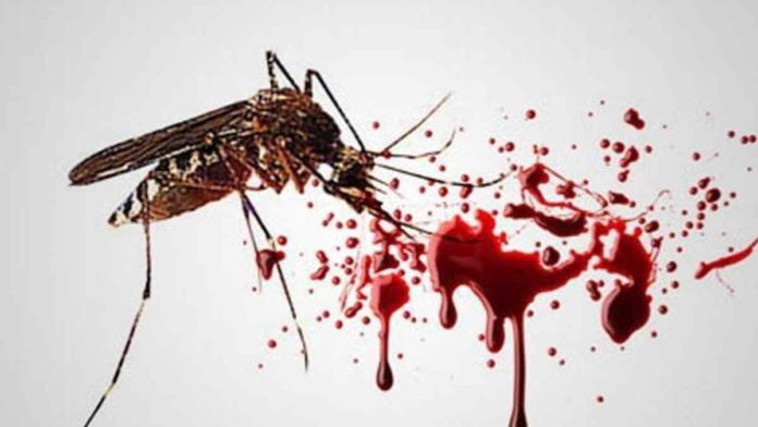 Waspada Musim Hujan, Warga Banjar Meninggal Dunia Karena DBD