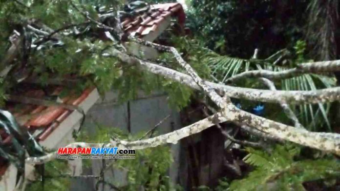 Hujan angin di Sidamulih, Kecamatan Pamarican, Kabupaten Ciamis, Jawa Barat, mengakibatkan satu rumah warga rusak tertimpa pohon tumbang, Sabtu (27/02/2021). Foto: Suherman/HR.