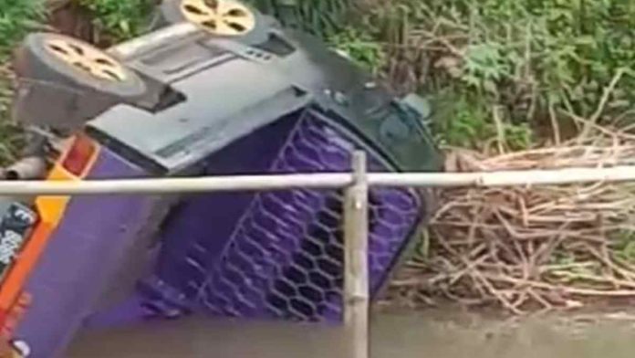 Mobil Pikap Pengangkut Jengkol di Ciamis Masuk Jurang