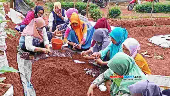 PKH Kecamatan Baregbeg