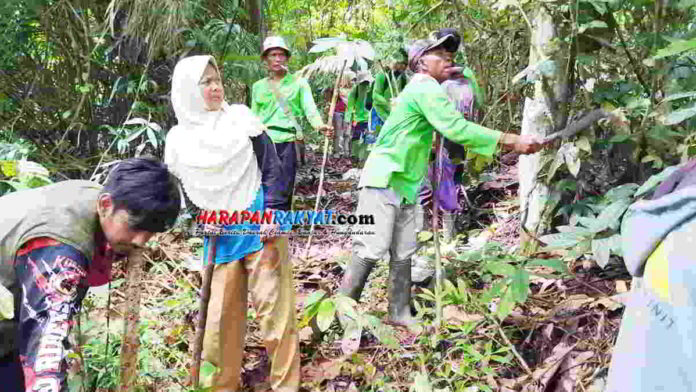 Permata Gagayunan Ciamis Galakan Tanam Pohon Kedap Air