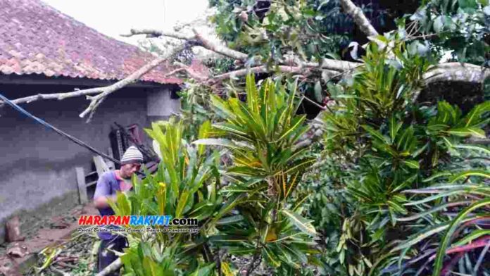 Sebuah pohon rambutan tumbang menimpa rumah warga saat terjadi angin kencang di Kota Tasikmalaya, Jawa Barat, Kamis (25/02/2021). Foto: Apip Wilianto/HR.