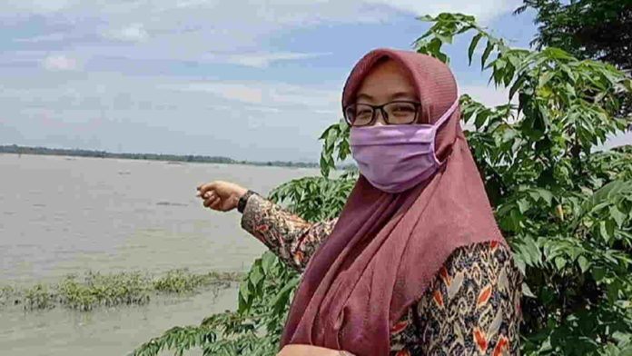 Ratusan Hektar Sawah di Paledah Pangandaran Terendam, Petani Merugi
