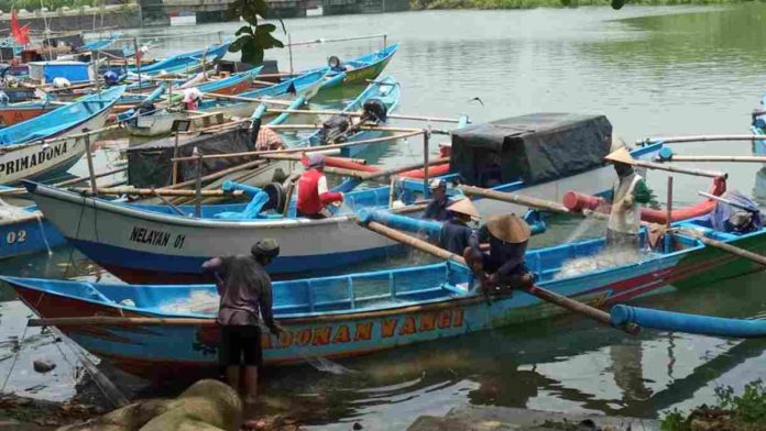 Retribusi Ikan Tangkap di Pangandaran