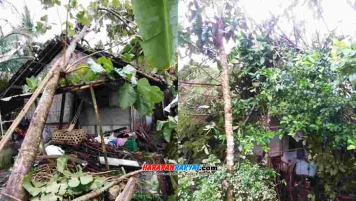 Rumah tertimpa pohon di Desa Sukamukti, Kecamatan Pamarican, Kabupaten Ciamis. Foto: Suherman/HR.