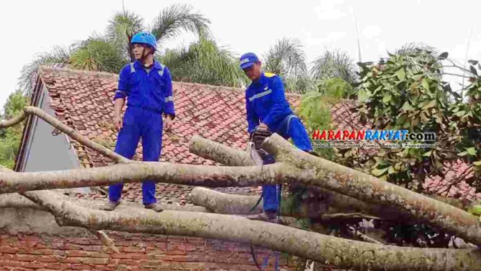 Tagana Ciamis Kembali Lanjutkan Evakuasi Rumah Tertimpa Pohon di Pamarican