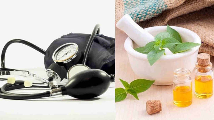 herbal penurun darah tinggi