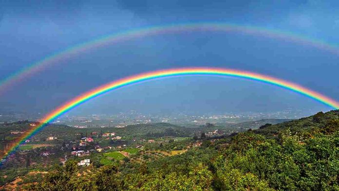 Pelangi Terbaik di Bumi
