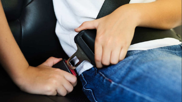 Seal Belt Macet, Begini Fungsi dan Cara Membersihkannya dari Kotoran