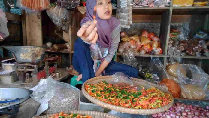 Harga Cabe Rawit di Langkaplancar Pangandaran Capai 140 Ribu