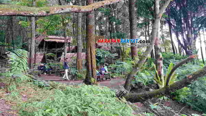 Kafe Shelter Galunggung Tasikmalaya