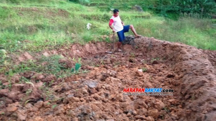 Lahan Sawah