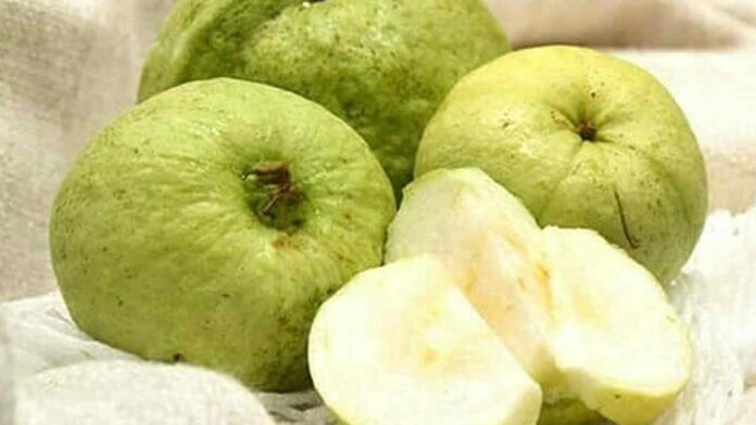 Manfaat Jambu Kristal untuk Kecantikan dan Kesehatan