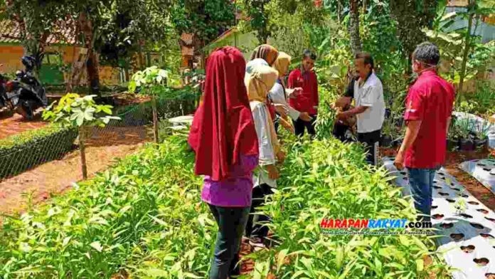 Lahan Kosong