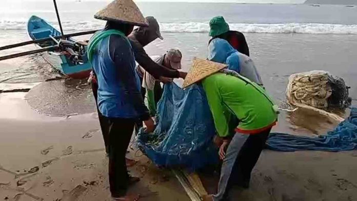 Ikan layang segar