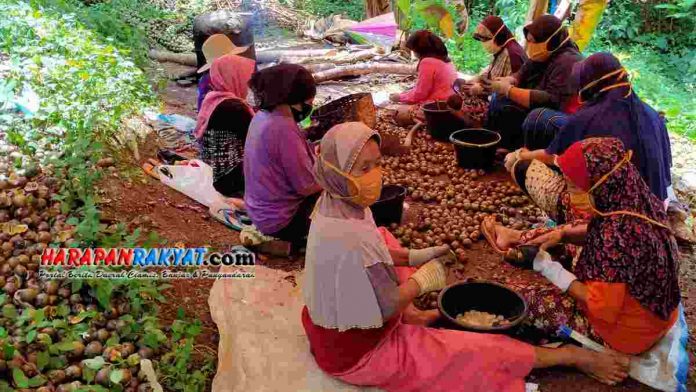 Pembuat Kolang-kaling di Ciamis