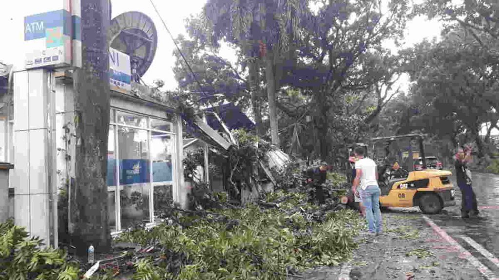 Pohon Tumbang di Kota Tasikmalaya Timpa Mesin ATM