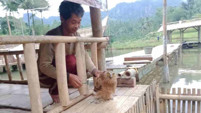 Sero dan Hingkik