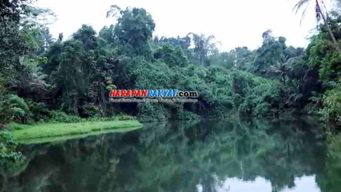Situ Ciumbul di Cipaku Ciamis Berpotensi Jadi Objek Wisata