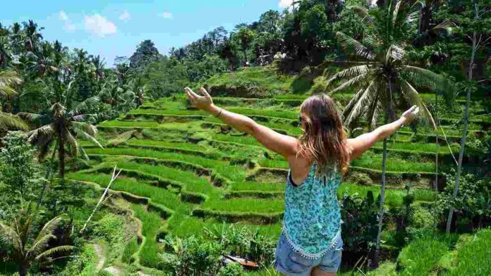 Wisata Sawah