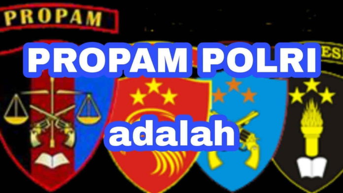 Aplikasi Propam Presisi