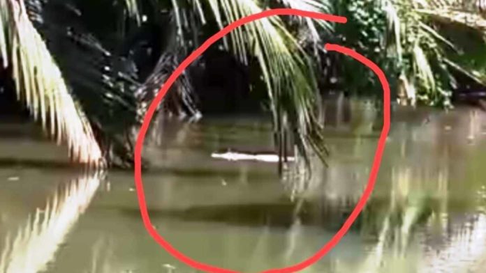 Sungai Karang Tirta