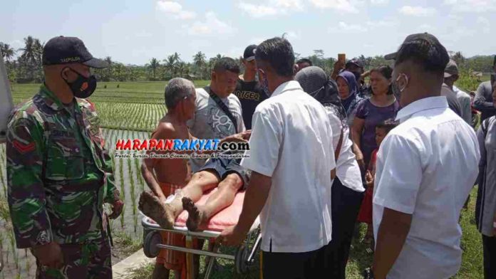Meninggal di tengah sawah