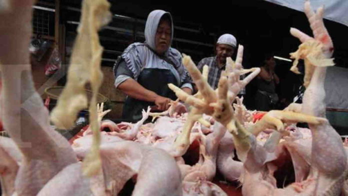 Harga Daging Ayam Kampung di Kawali Ciamis Capai 60 Ribu