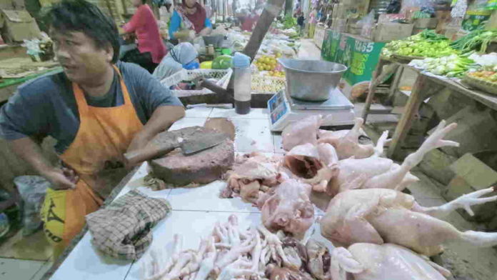 Jelang Ramadan, Harga Daging Ayam di Pasar Banjar Tembus 39 Ribu