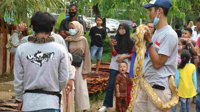 Komunitas Reptil Kota Banjar