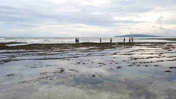 Korban Tenggelam di Pantai Karapyak Pangandaran Belum Ditemukan