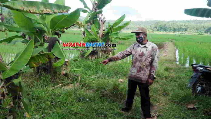 Maling Embat Motor Parkir di Pinggir Sawah di Pamarican Ciamis
