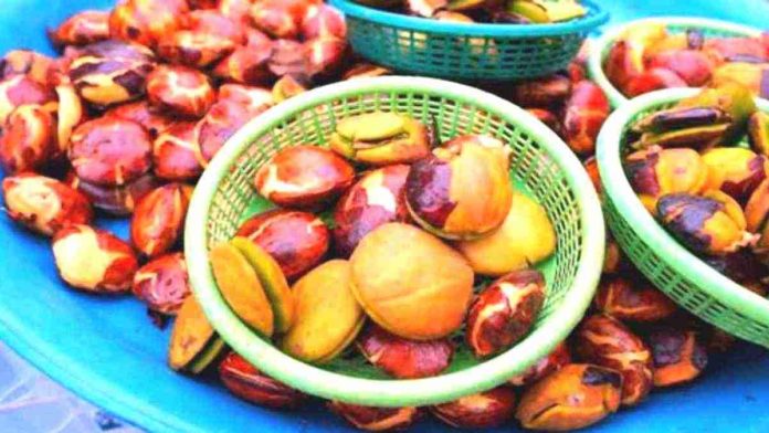 Makan Jengkol