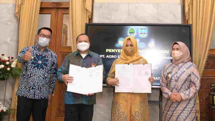 PT Agro Jabar Teken Kerja Sama Sektor Pertanian dengan Agro Serang
