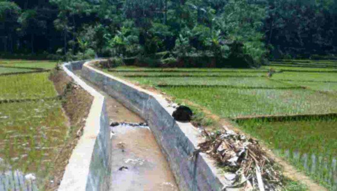 Pemeliharaan Jaringan Irigasi di Panawangan Ciamis Harus Libatkan P3A