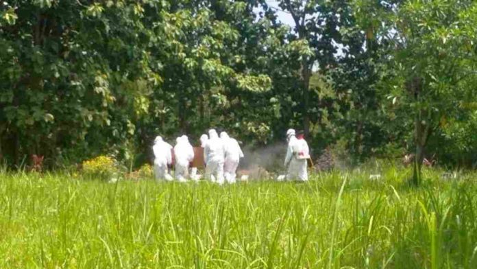 Gaji Penggali Kubur