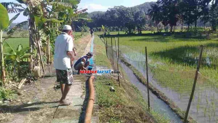 Petani Purwadadi Ciamis