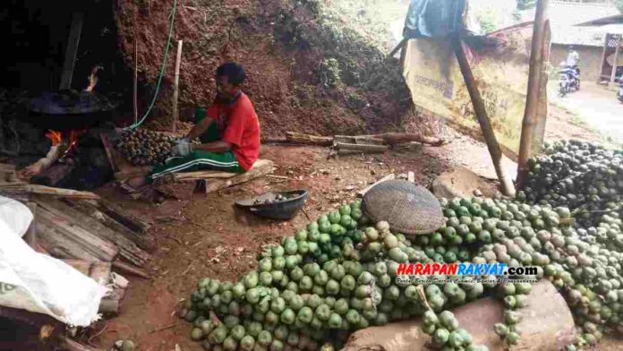 Pembuat Kopra