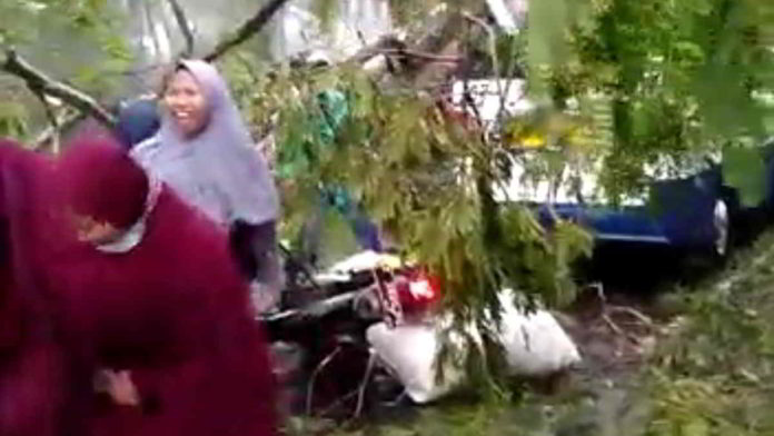 Video Mobil dan Motor Tertimpa Pohon Tumbang di Kota Tasikmalaya Viral