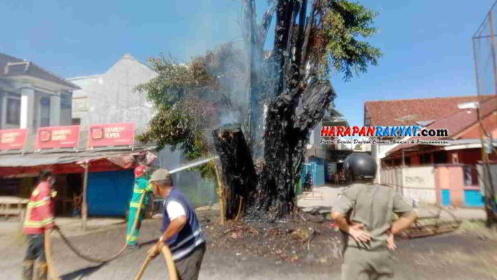 Warga Harap Pohon Beringin di Alun-alun Banjarsari Ciamis Dirobohkan