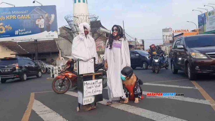 Anjing bermasker