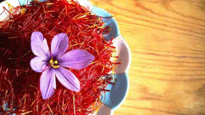 Saffron Jadi Rempah Termahal, Ketahui 5 Manfaatnya Bagi Kesehatan