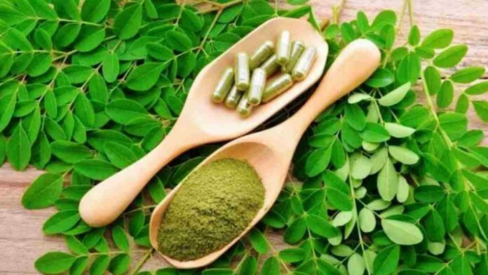 Daun Kelor